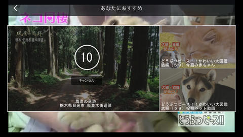 機械学習を利用した動画レコメンデーション機能を見逃し動画配信サービス「ネットもテレ東」に導入！