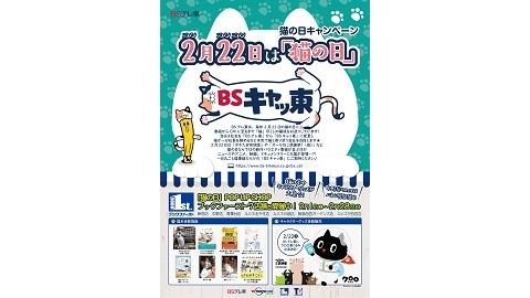 「猫の日」POP UP SHOP ブックファーストにて開催 ～ 2月22日の「猫の日」と連動したキャンペーンを2月いっぱい実施 ～